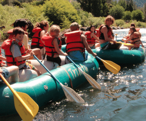 Tips For A Lice-Free Summer Camp